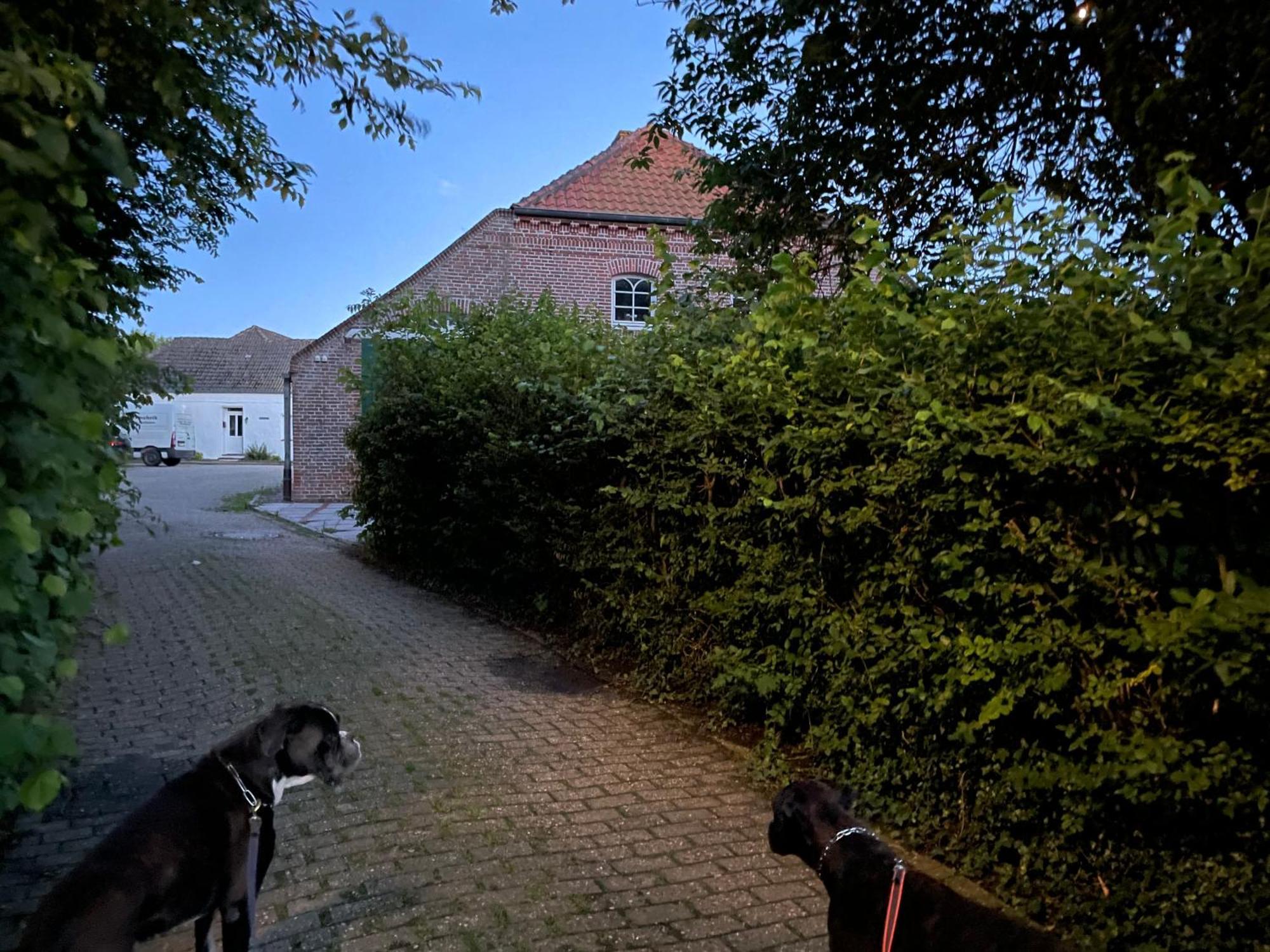 Gulfhaus Alte Meesterei Manslagt Luaran gambar